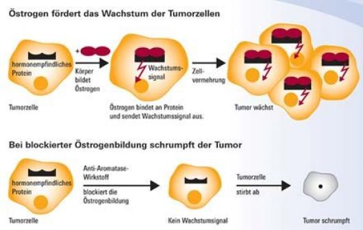 Wie sustanon mich zu einem besseren Verkäufer gemacht hat