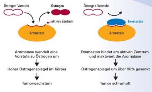 Der größte Nachteil der Verwendung von genotropin bestellen